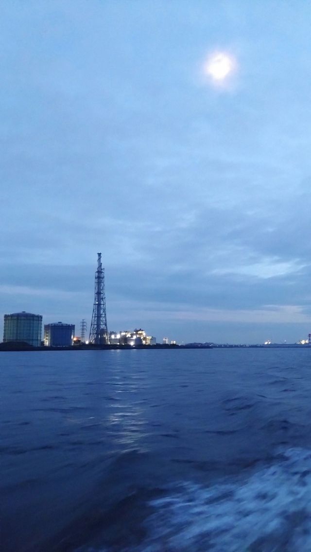 10202412041531050.jpg